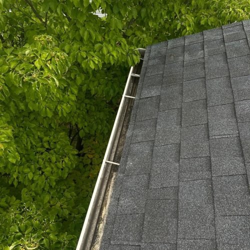 WhatsApp Image 2025-08-08 at 1.43.47 PM