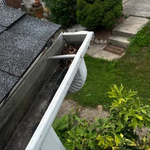 WhatsApp Image 2025-08-08 at 1.43.48 PM (1)