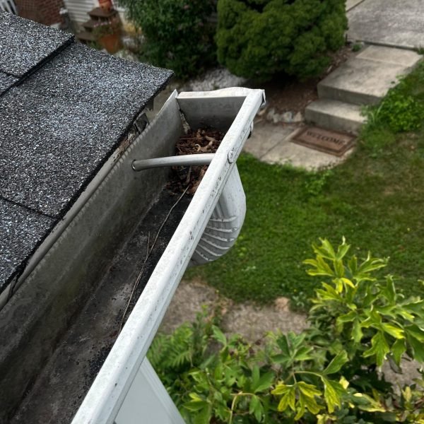 WhatsApp Image 2025-08-08 at 1.43.48 PM (1)