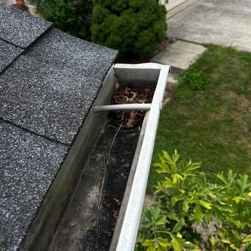 WhatsApp Image 2025-08-08 at 1.43.48 PM