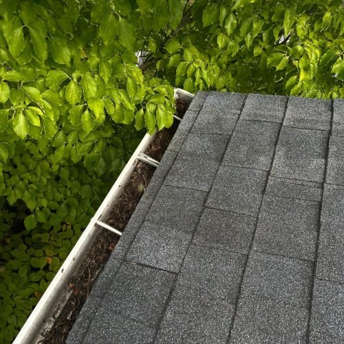 WhatsApp Image 2025-08-08 at 1.43.49 PM (1)