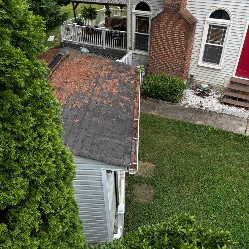 WhatsApp Image 2025-08-08 at 1.43.51 PM (1)