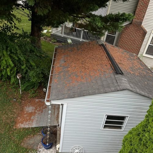 WhatsApp Image 2025-08-08 at 1.43.51 PM