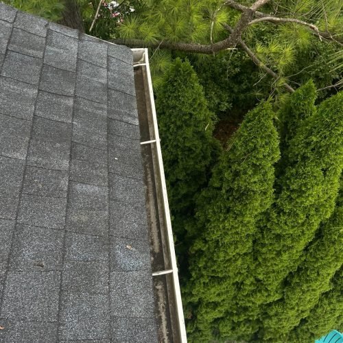 WhatsApp Image 2025-08-08 at 1.43.52 PM (1)