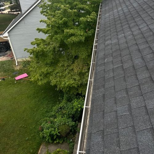 WhatsApp Image 2025-08-08 at 1.43.52 PM