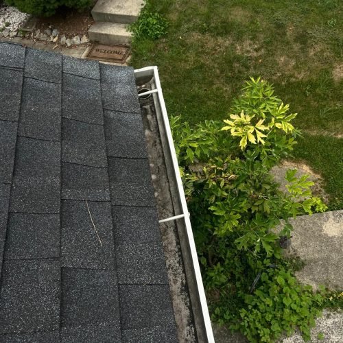 WhatsApp Image 2025-08-08 at 1.43.53 PM (1)