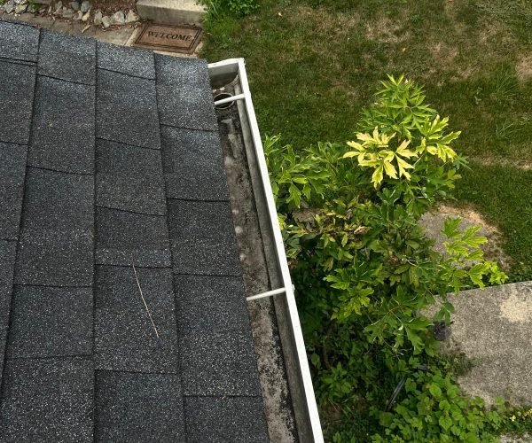 WhatsApp Image 2025-08-08 at 1.43.53 PM (1)