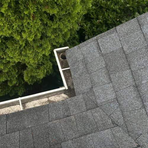 WhatsApp Image 2025-08-08 at 1.43.53 PM (2)