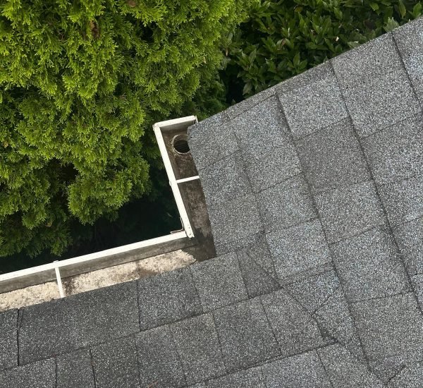 WhatsApp Image 2025-08-08 at 1.43.53 PM (2)