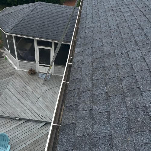 WhatsApp Image 2025-08-08 at 1.43.53 PM