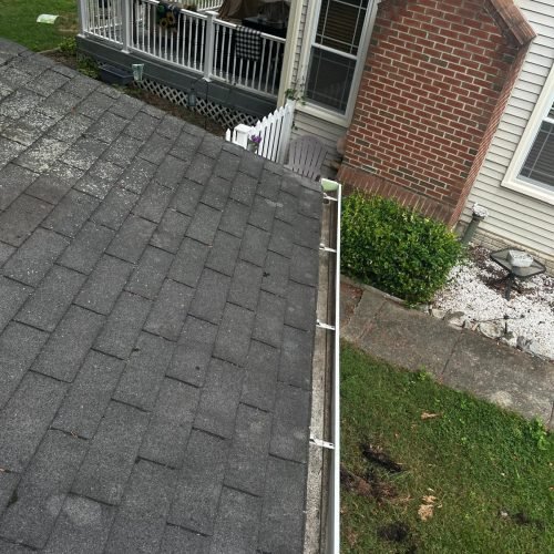 WhatsApp Image 2025-08-08 at 1.43.54 PM