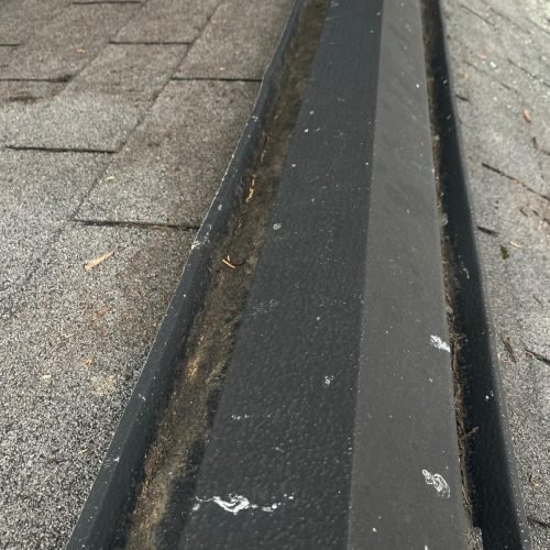 WhatsApp Image 2025-08-08 at 1.43.58 PM