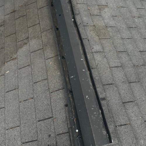 WhatsApp Image 2025-08-08 at 1.43.59 PM